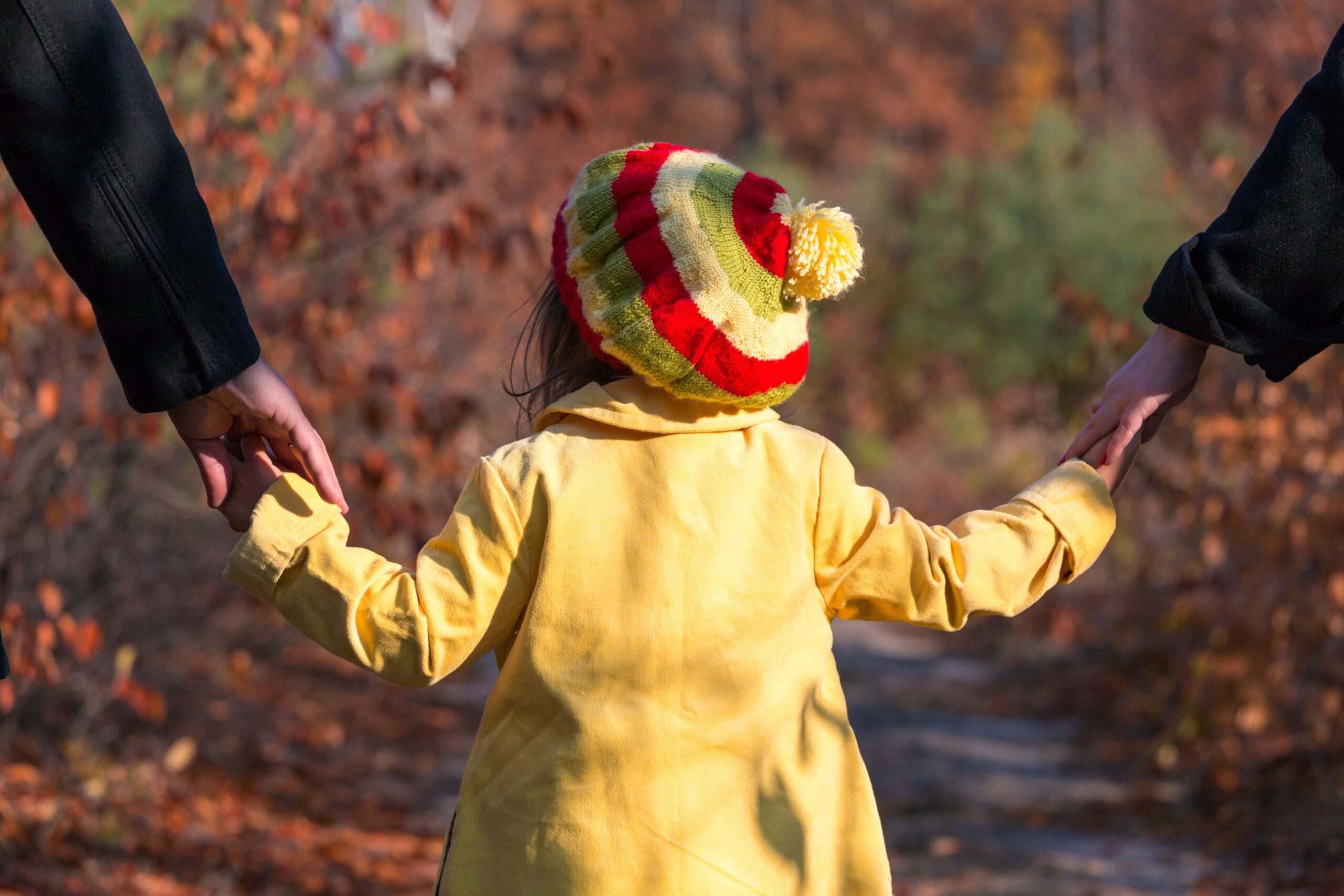 Read more about the article Understanding The Child Custody Process